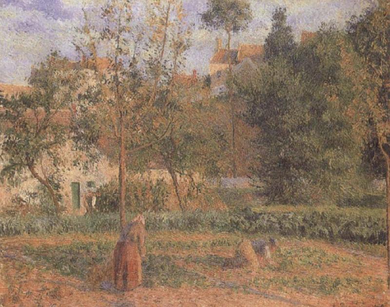 Camille Pissarro Vegetable Garden at the Hermitage near Pontoise oil painting picture